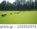 羊の行進 135932974