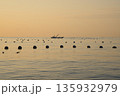 牡蠣の養殖場の景色 135932979