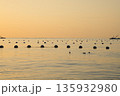牡蠣の養殖場の景色 135932980