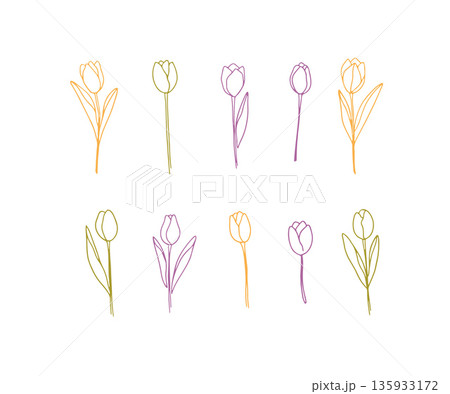 Set of hand drawn spring flowers tulips Set of hand drawn spring flowers tulips 135933172