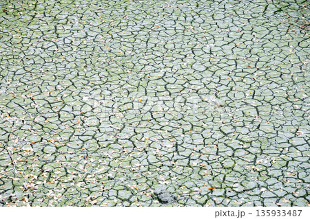 Dried earth in Chengdu, Sichuan shows effects of dry weather conditions 135933487