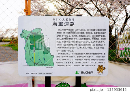 海軍道路 135933613