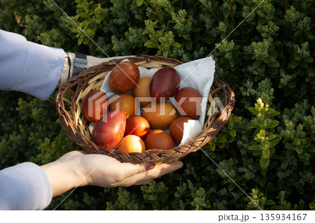 Hands hold a basket of beautifully painted Easter eggs against a lush green backdrop. Hands hold a basket of beautifully painted Easter eggs against a lush green backdrop. 135934167