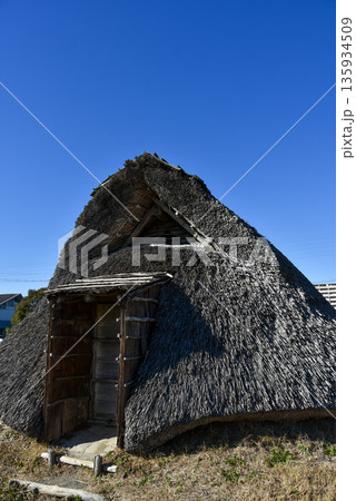 復元された竪穴式住居　登呂遺跡 135934509