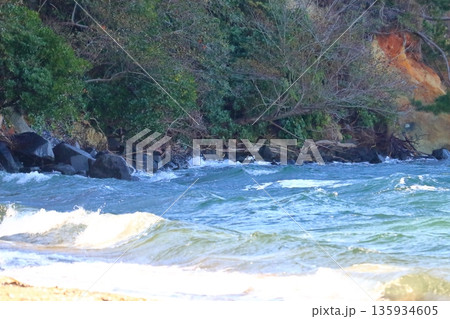 岩黒島のルーツ、黒い閃緑岩が転がる黒浜海岸（塩飽諸島 岩黒島） 135934605