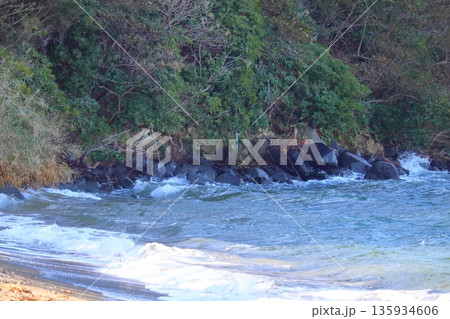 岩黒島のルーツ、黒い閃緑岩が転がる黒浜海岸（塩飽諸島 岩黒島） 135934606