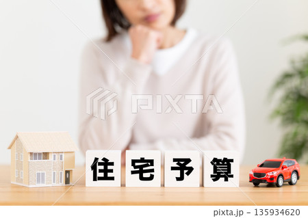 住宅予算のブロックと悩むミドル女性 135934620
