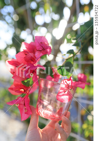 ブーゲンビリアの花と手に持つ琉球ガラスのグラス 135934722