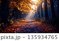 Autumn Forest Path Sunbeams . Nature Concept. Generated Image 135934765