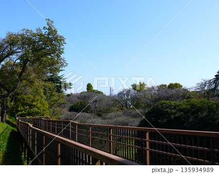 保土ヶ谷公園から見た風景 保土ヶ谷公園から見た風景 135934989