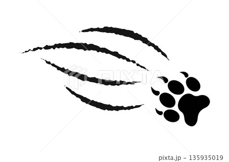 Pawprint with scratch claw trail. Wild animal talons track print isolated on white background. Skin scars from attack of wolf or panther, leopard or jaguar. Vector graphic illustration Pawprint with scratch claw trail. Wild animal talons track print isolated on white background. Skin scars from attack of wolf or panther, leopard or jaguar. Vector graphic illustration 135935019