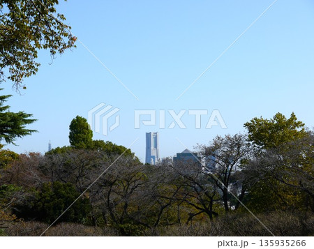 保土ヶ谷公園から見た風景 保土ヶ谷公園から見た風景 135935266