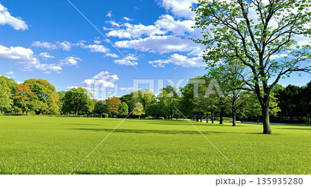 青空と緑の広がる公園 135935280