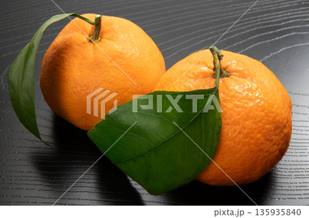 神奈川県の蜜柑、湘南のかほり 135935840