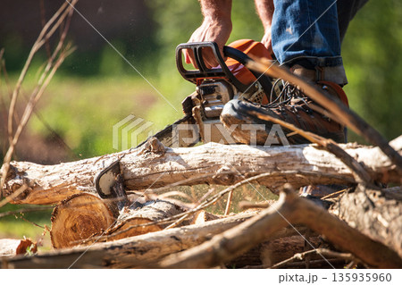A skilled individual expertly uses a chainsaw to cut logs outdoors, demonstrating precision and strength A skilled individual expertly uses a chainsaw to cut logs outdoors, demonstrating precision and strength 135935960