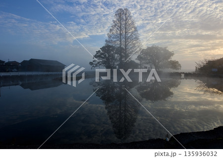 霧に包まれた縫ノ池 135936032