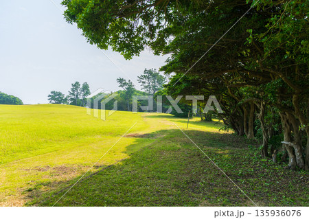 夏の和歌山県串本町 本州最南端 潮岬 望楼の芝 夏の和歌山県串本町 本州最南端 潮岬 望楼の芝 135936076