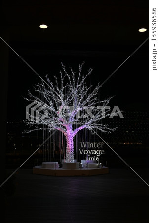 神戸ハーバーランドの冬を彩る光の樹 135936586