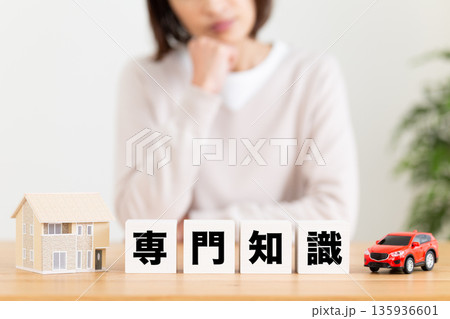 専門知識のブロックと悩むミドル女性 専門知識のブロックと悩むミドル女性 135936601