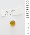 アンバー（琥珀） 135936809