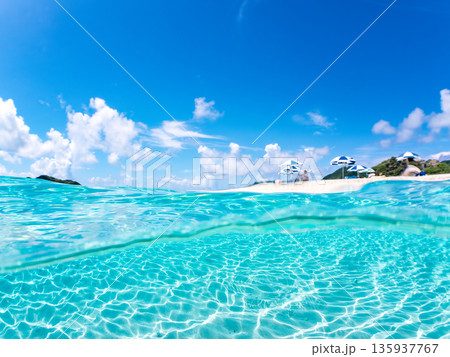 慶良間諸島の白砂ビーチ半水面撮影。嘉比島安室島、美しいサンゴ礁と熱帯魚の群れ。 嘉比島沖縄県 島尻郡 慶良間諸島の白砂ビーチ半水面撮影。嘉比島安室島、美しいサンゴ礁と熱帯魚の群れ。 嘉比島沖縄県 島尻郡 135937767