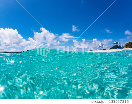 慶良間諸島の白砂ビーチ半水面撮影。嘉比島安室島、美しいサンゴ礁と熱帯魚の群れ。 嘉比島沖縄県 島尻郡 135937816