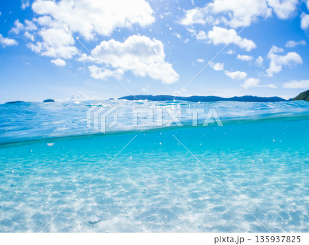 慶良間諸島の白砂ビーチ半水面撮影。嘉比島安室島、美しいサンゴ礁と熱帯魚の群れ。 嘉比島沖縄県 島尻郡 135937825