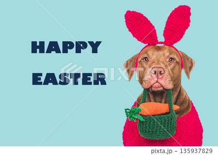 Happy Easter. Cute dog and congratulatory inscription Happy Easter. Cute dog and congratulatory inscription 135937829