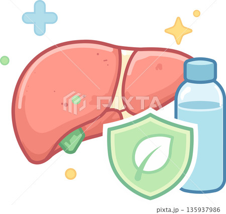 Flat color liver health and detox icon with eco shield and water bottle, representing hydration, organ protection, and wellness care. Clean vector illustration for hospital, medical, and healthcare 135937986