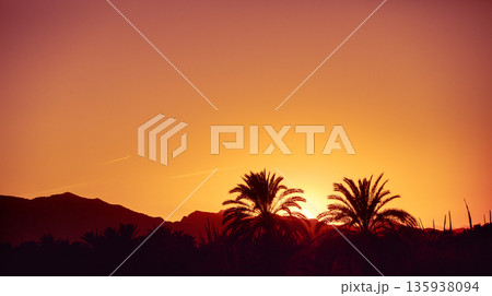 Minimalistic mountain landscape during sunset. Silhouettes of palm trees against the background of mountains at sunset 135938094