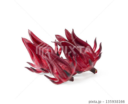Fresh roselle isolated on white background. Fresh roselle isolated on white background. 135938166