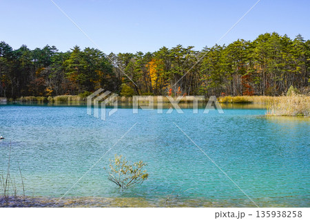秋の五色沼湖沼群　弁天沼 135938258