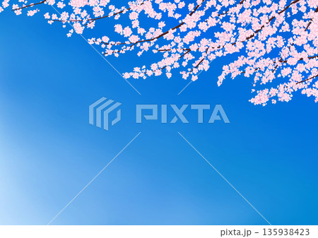 青空と桜の背景イラスト 135938423