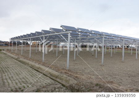 太陽光発電　営農タイプ 135939350