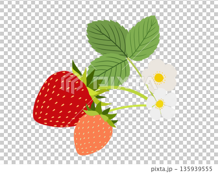 草莓原料A-2 135939555