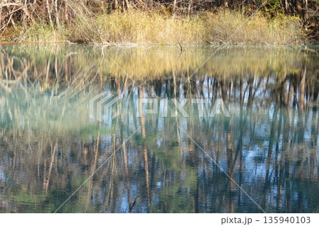 五色沼の秋 135940103