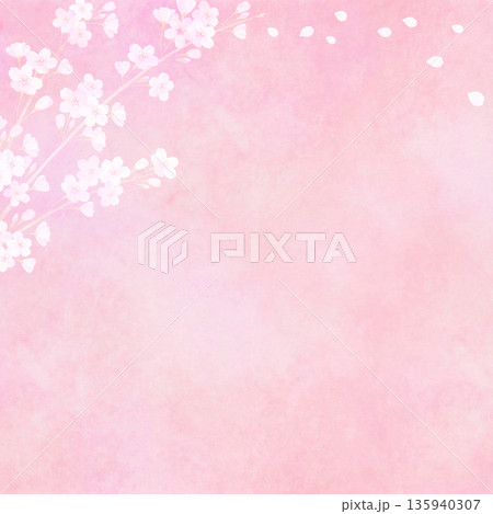 満開の桜と和紙の春イメージ背景 ソメイヨシノ 満開の桜と和紙の春イメージ背景 ソメイヨシノ 135940307