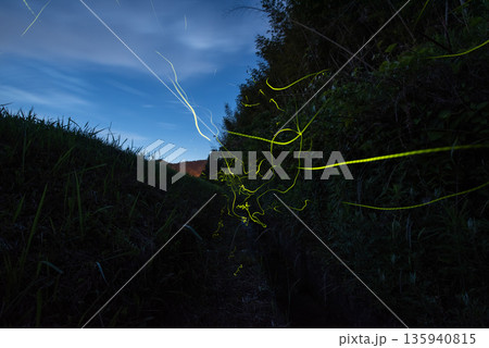 ホタルの舞う風景 ホタルの舞う風景 135940815