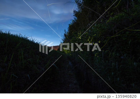 ホタルの舞う風景 ホタルの舞う風景 135940820