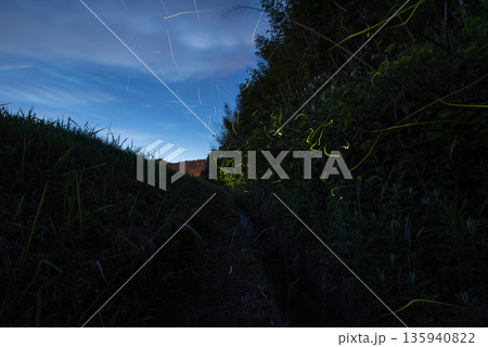 ホタルの舞う風景 ホタルの舞う風景 135940822