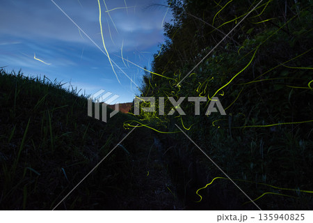 ホタルの舞う風景 135940825