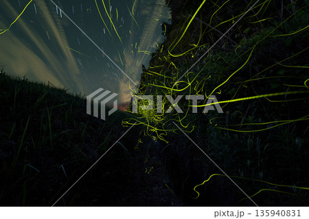 ホタルの舞う風景 ホタルの舞う風景 135940831