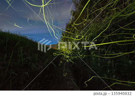ホタルの舞う風景 ホタルの舞う風景 135940832