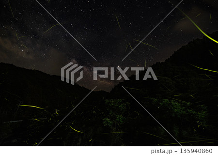 ホタルの舞う風景 ホタルの舞う風景 135940860