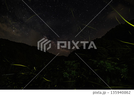 ホタルの舞う風景 ホタルの舞う風景 135940862