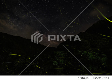 ホタルの舞う風景 ホタルの舞う風景 135940864