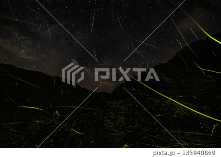 ホタルの舞う風景 ホタルの舞う風景 135940869