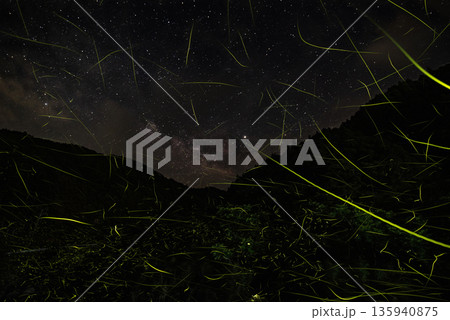 ホタルの舞う風景 ホタルの舞う風景 135940875