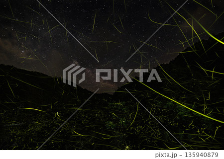 ホタルの舞う風景 135940879