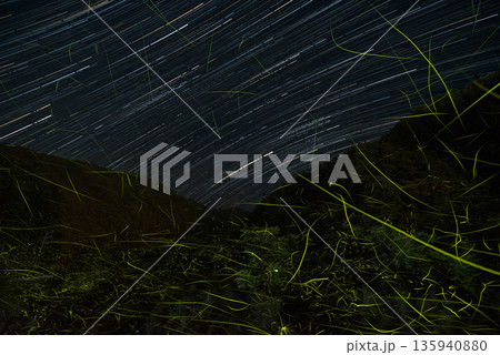 ホタルの舞う風景 135940880